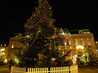  sapin de noel